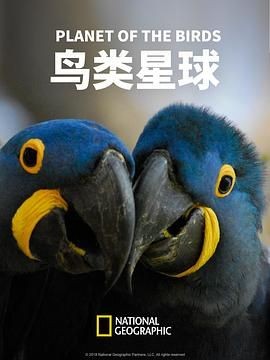 鸟类星球 Planet of The Birds