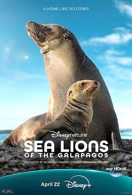 海狮利奥环岛记 Sea Lions of the Gal&aacute;pagos
