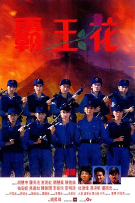 原名:霸王花 / 钱升玮 / 胡慧中 / 1988 (1988)