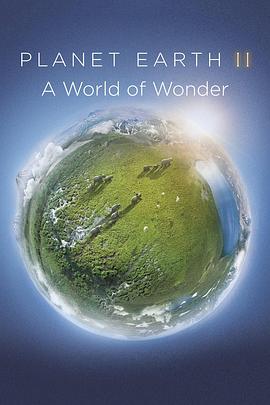 地球脉动2:奇迹世界 Planet Earth II: A World of Wonder