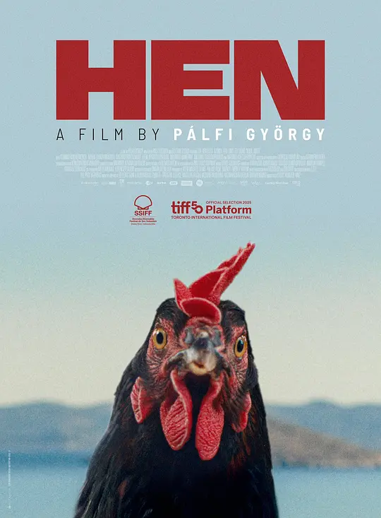 母鸡 / Hen