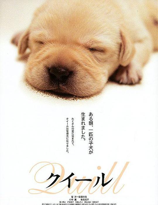 导盲犬小Q / Quill: The Life of a Guide Dog