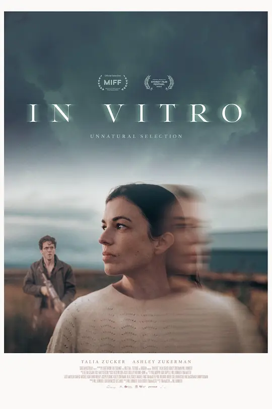 体外实验 / In Vitro