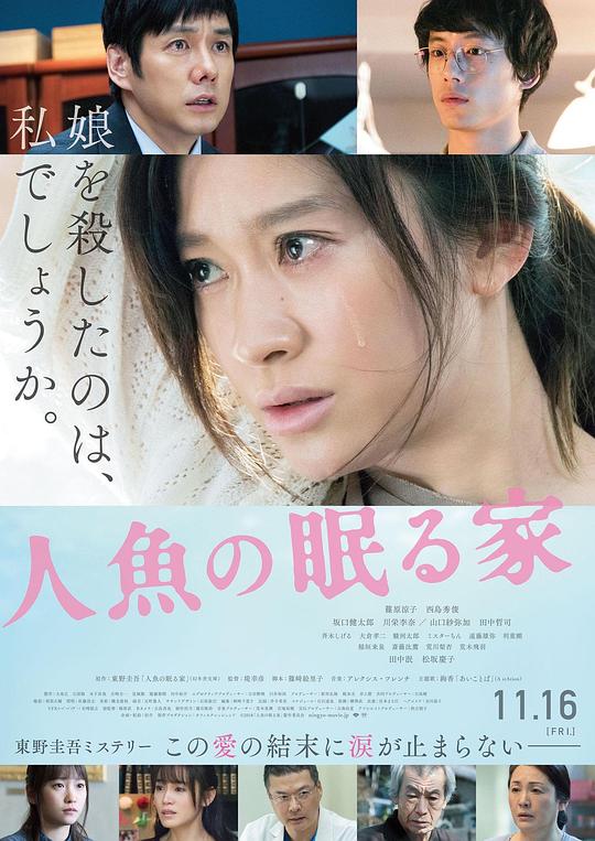 沉睡的人鱼之家 / The House Where the Mermaid Sleeps