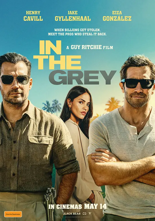 金谍行动 / In the Grey
