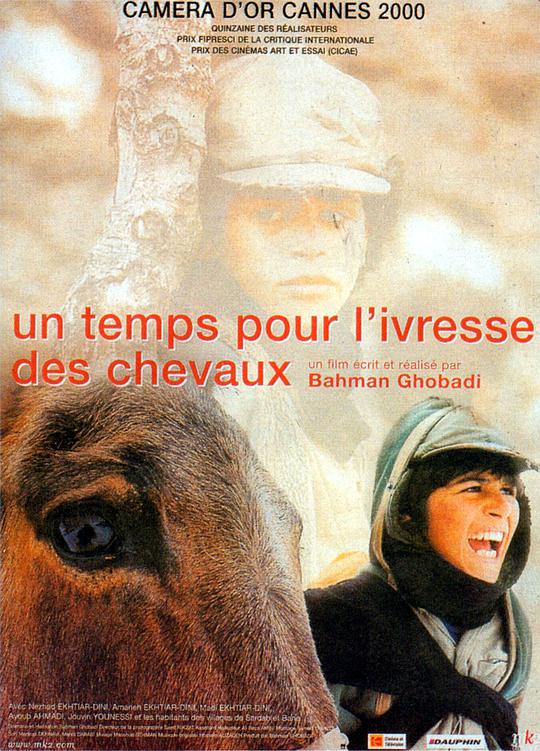 醉马时刻 / A Time for Drunken Horses