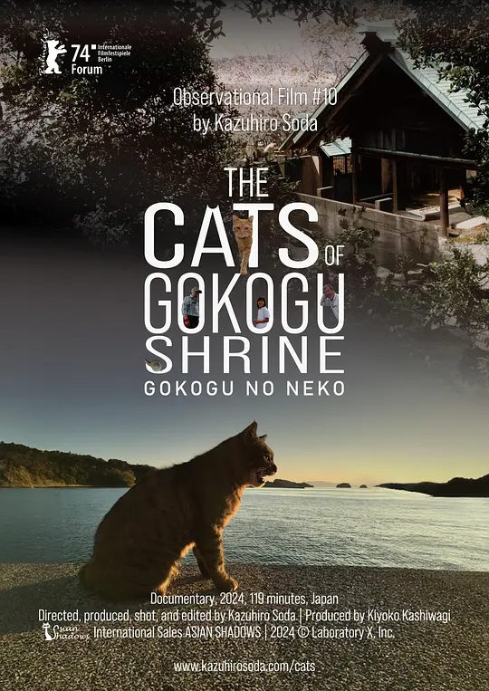 五香宫的猫 / The Cats of Gokogu Shrine