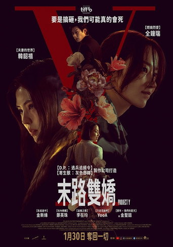 Y计划 (2026)
